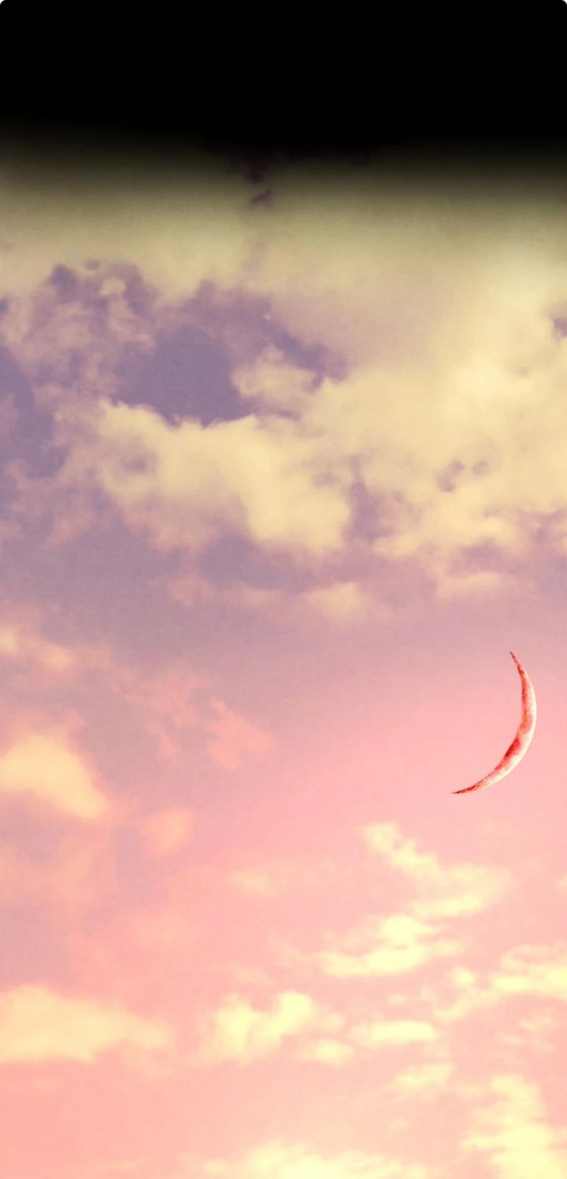 Beneath the Fallen Bloom chapter 10 halaman 12